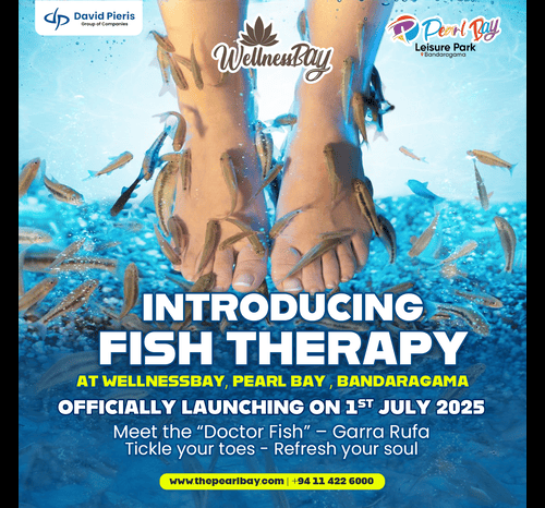 Fish Therapy