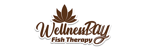 Wellness Bay